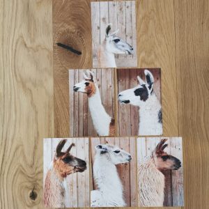 Postkarte