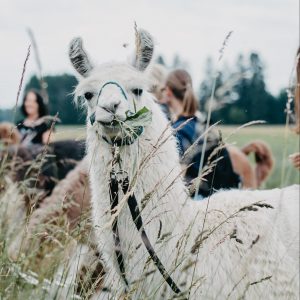 Ferienprogramm- Fr., 10.4.2026, 10:00-12:00 Uhr